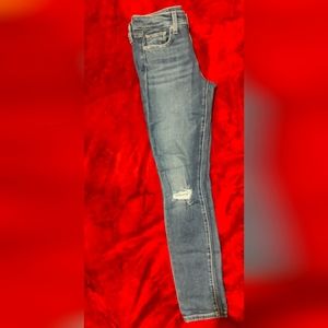 Joe's the Icon skinny jeans